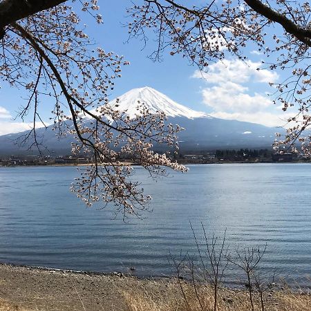 Mt Fuji Cat&Dog&Spa Pension Blue Poppy Фудзикавагутико Экстерьер фото
