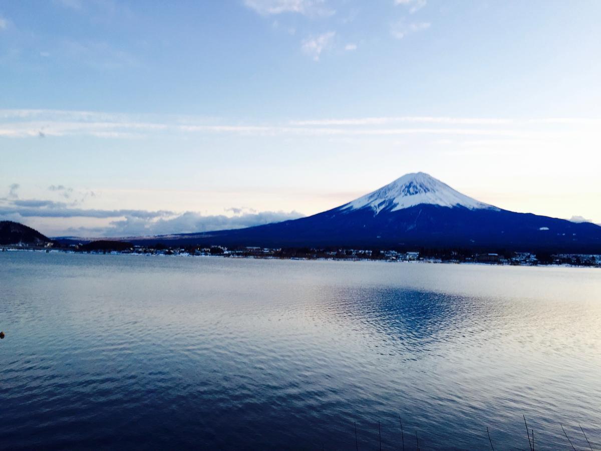Mt Fuji Cat&Dog&Spa Pension Blue Poppy Фудзикавагутико Экстерьер фото