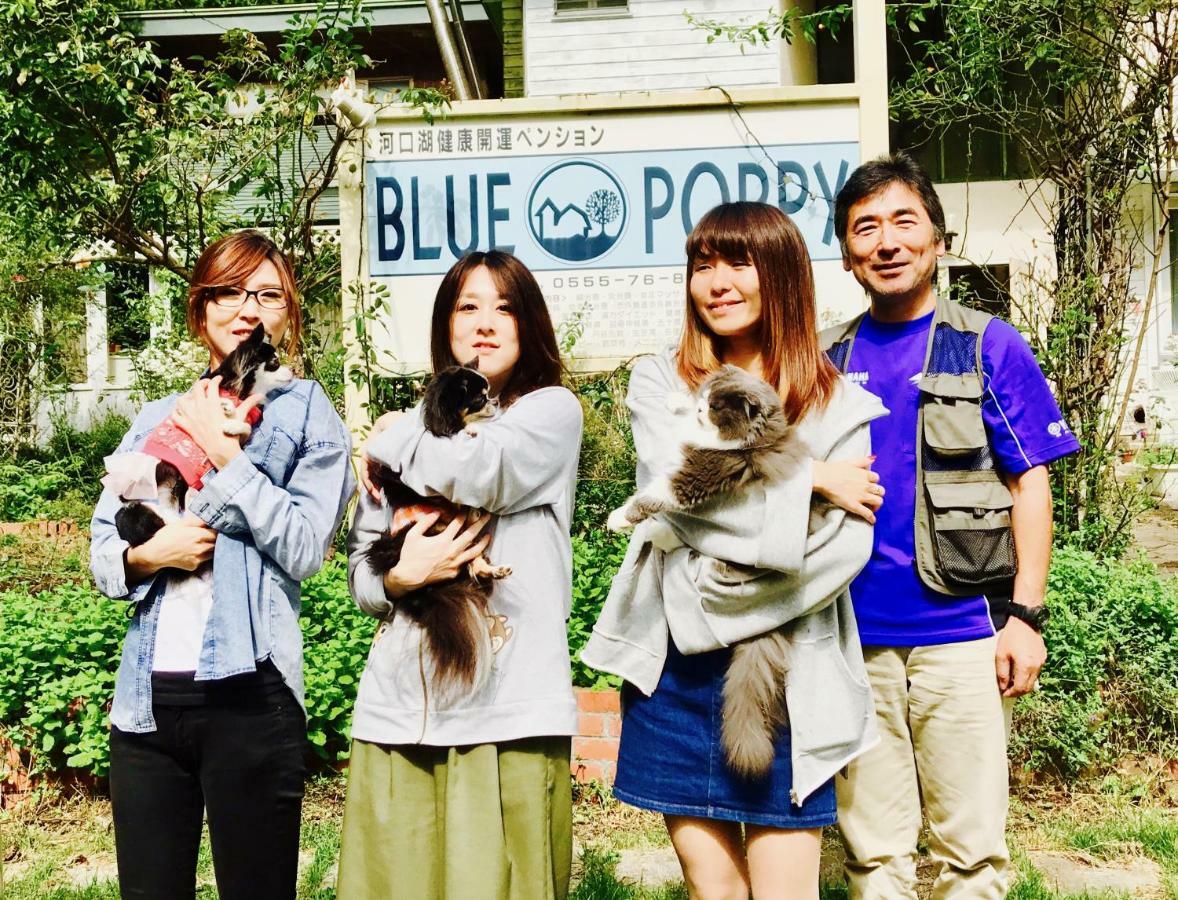 Mt Fuji Cat&Dog&Spa Pension Blue Poppy Фудзикавагутико Экстерьер фото