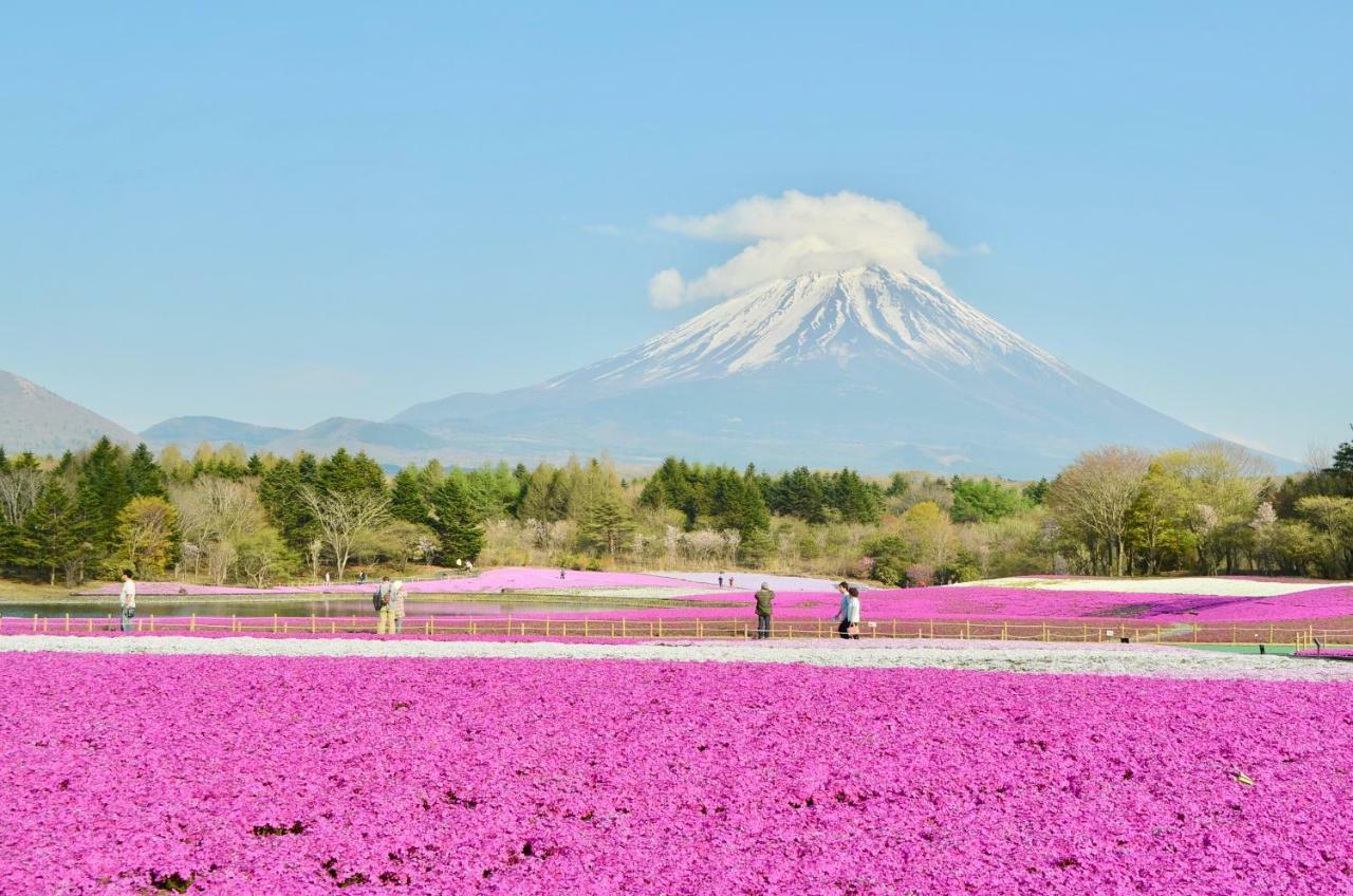 Mt Fuji Cat&Dog&Spa Pension Blue Poppy Фудзикавагутико Экстерьер фото